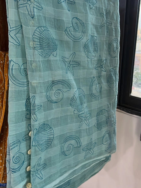 Sea Shore Saree