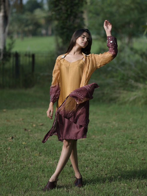 Offbeat Ombre Dress